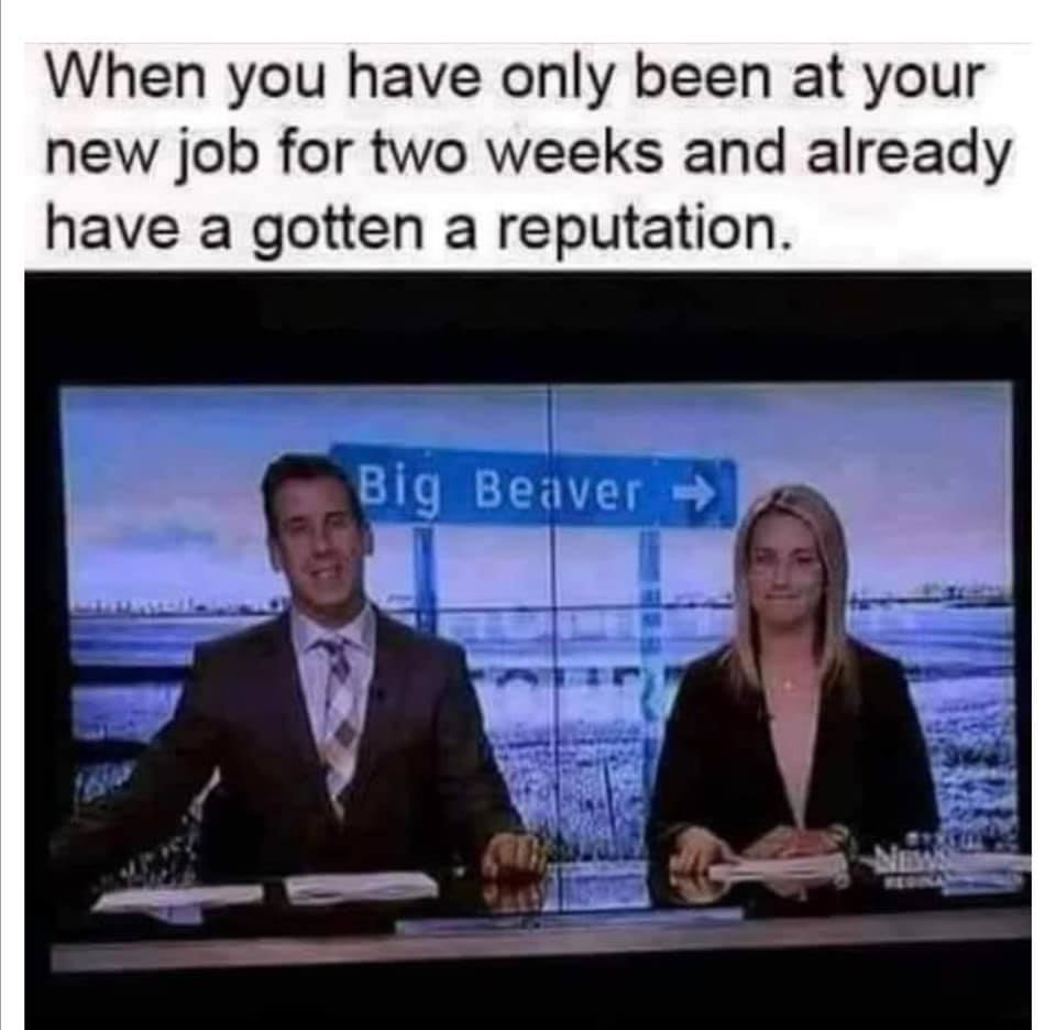 big beaver.jpg
