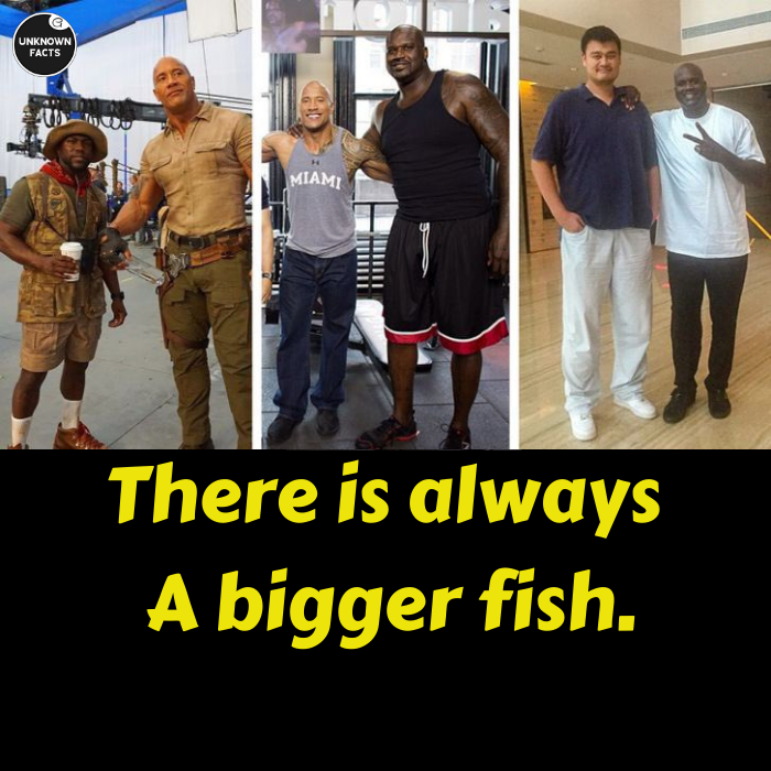 big.png