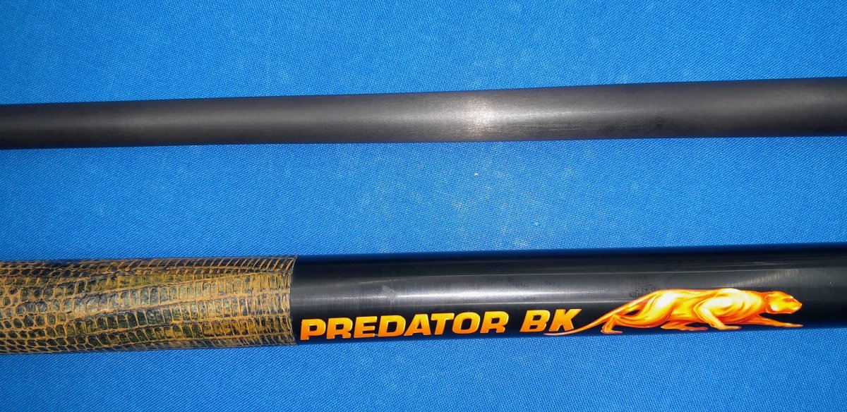 BKR_lizard_4.jpg
