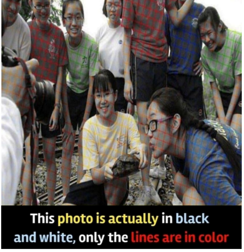 Blank.png