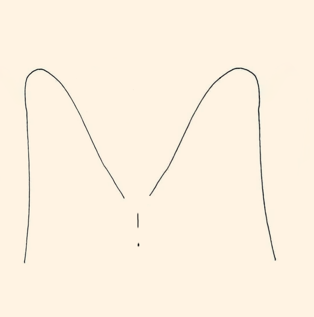 Blank.png