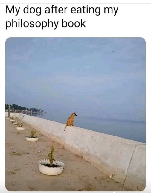 books.jpg
