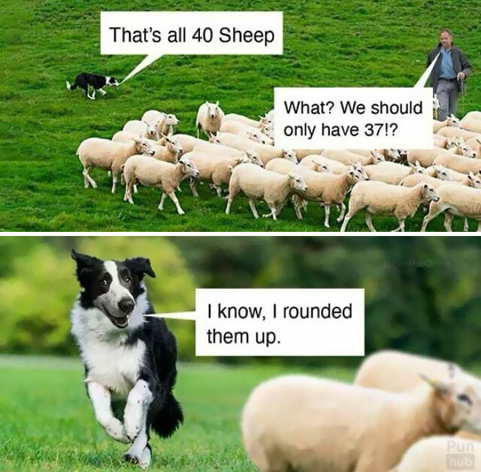 boomer-humor-pics-14-66225fd5ca8cf__700.jpg