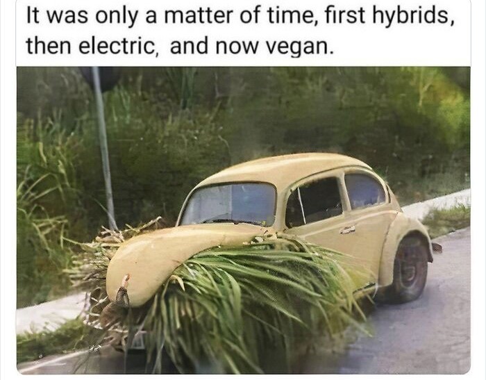boomer-humor-pics-6-6622597aec43c__700.jpg