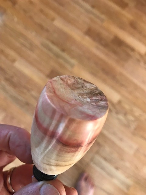 box elder 1.jpg