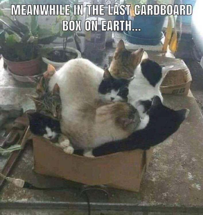 box.jpeg
