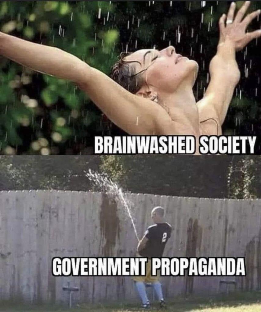 brainwashed.jpg
