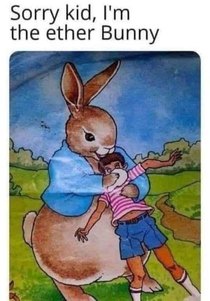 bunny.jpeg