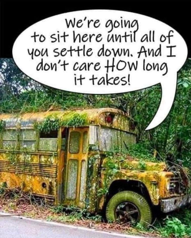 bus.jpg