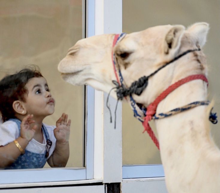 camel cute kid.jpg