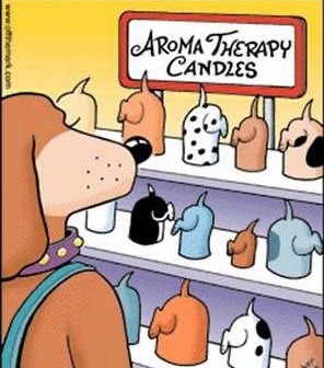 candles.jpg