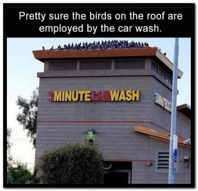 car wash 2.png