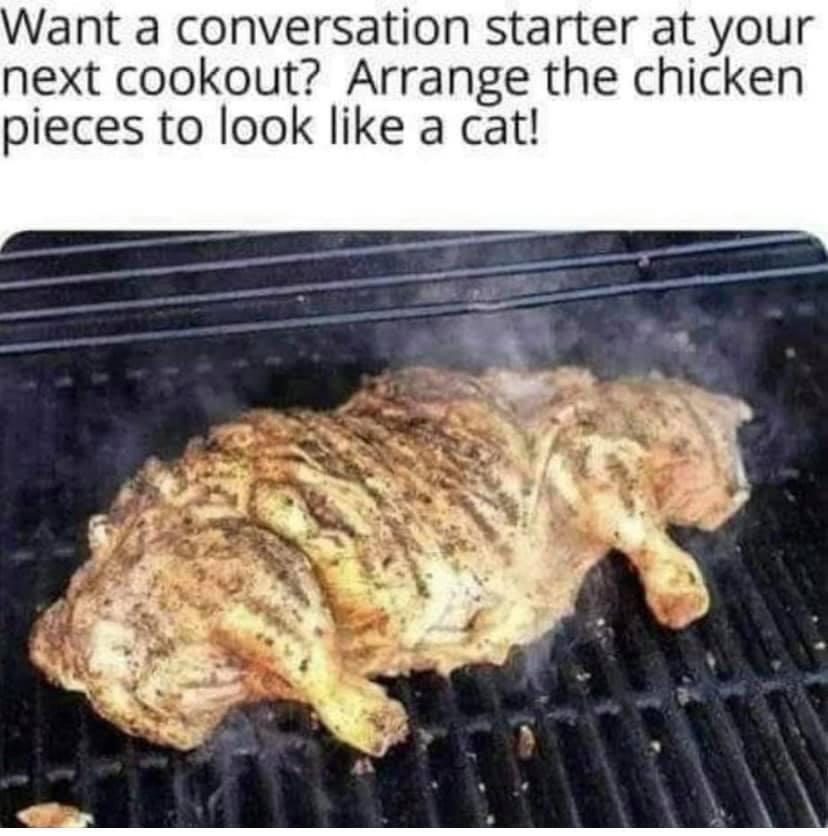 cat.jpeg
