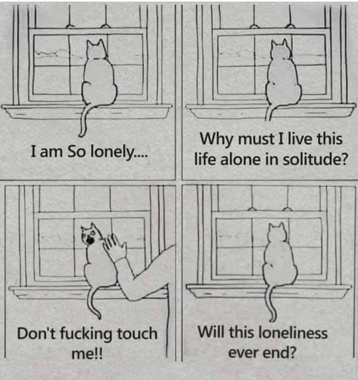 cat people.jpg
