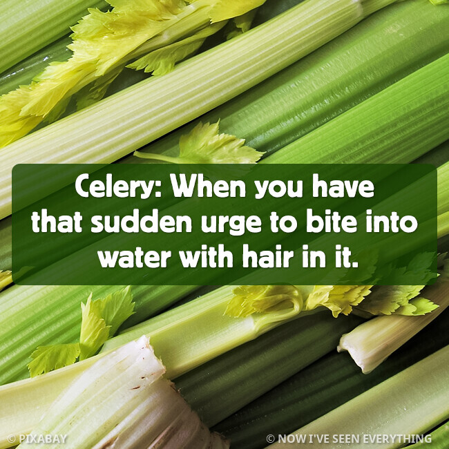 CELERY.jpg