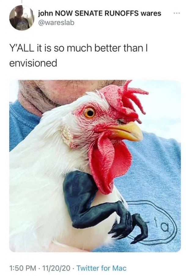 chicken 2.jpg