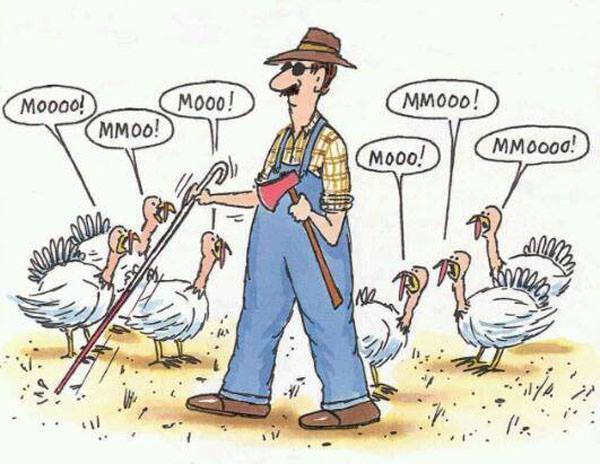 Chicken moo.jpg
