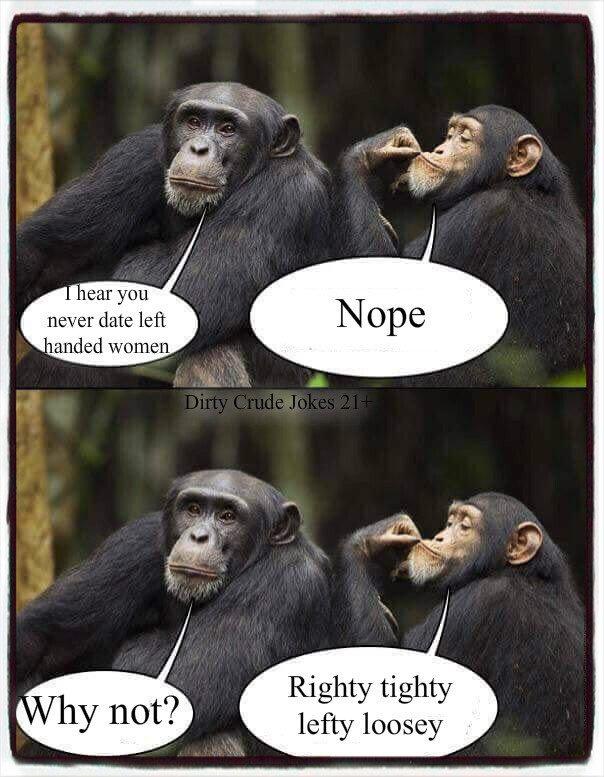 chimps.jpeg