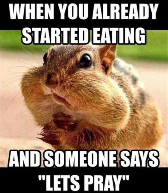 chipmunk.jpg