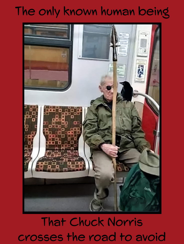 Chuck Norris Avoids.jpg