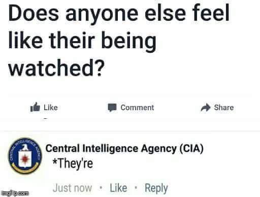 CIA.jpeg