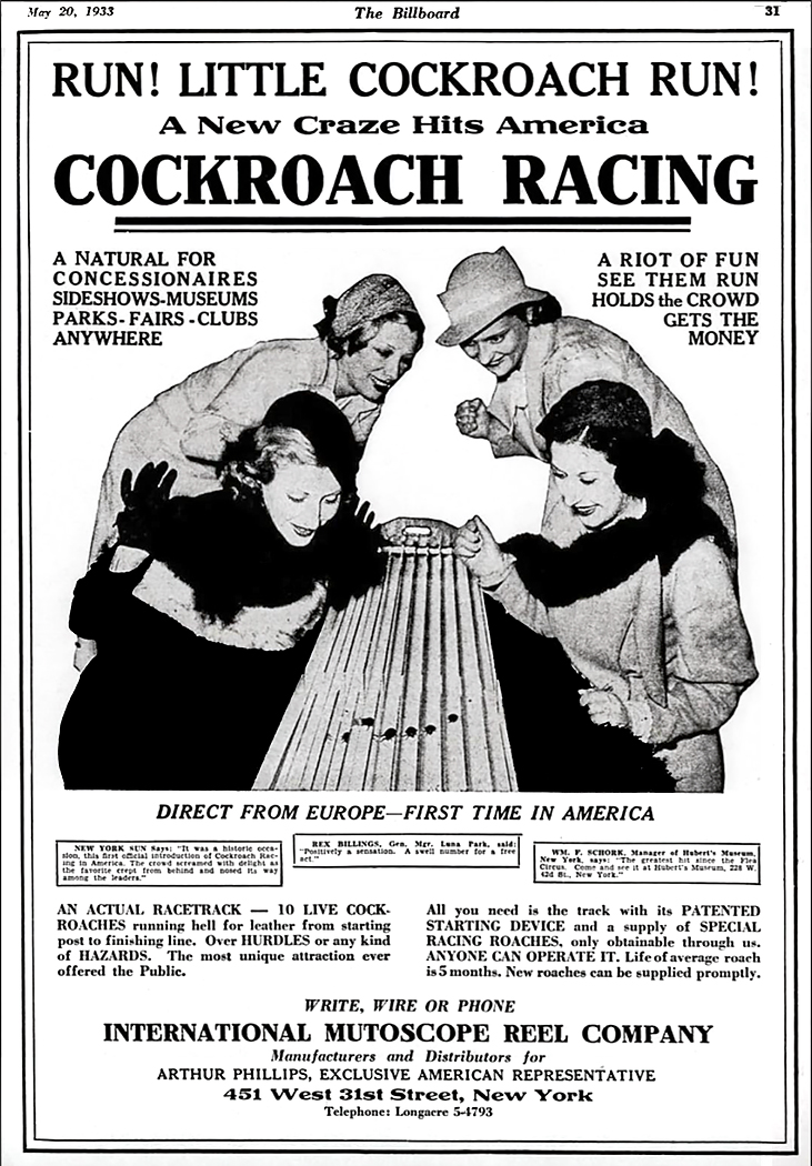 Cockroach Racing.jpg