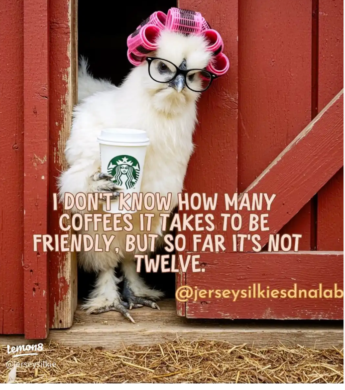 coffee friendly.png
