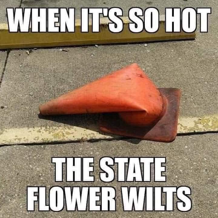 cone.jpg