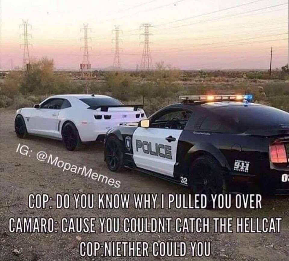 cop car.jpg