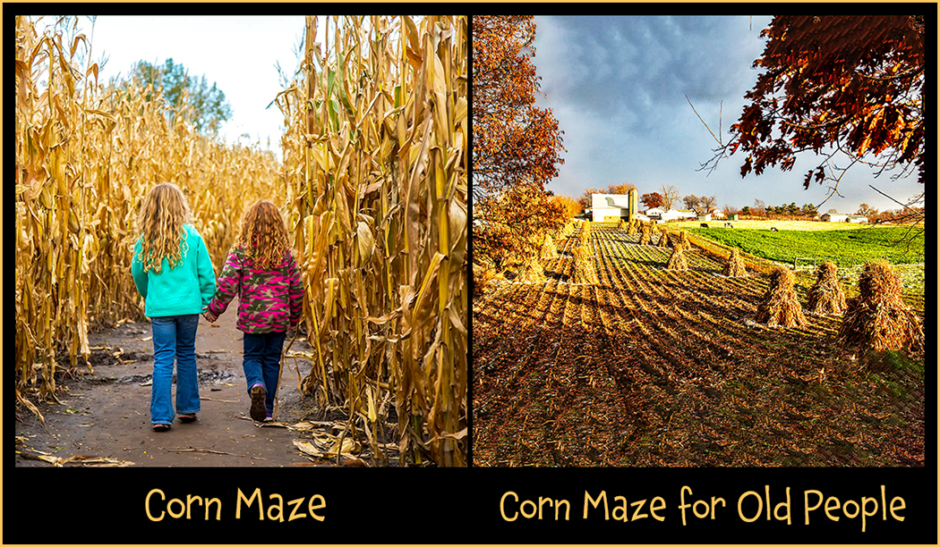 Corn Maze.jpg