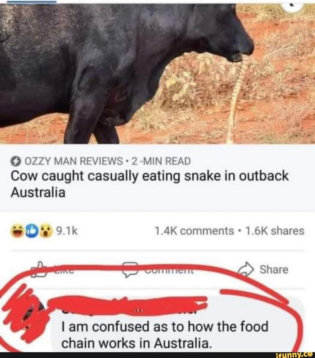 cow eating snake.jpg