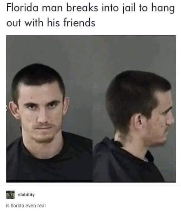 criminal-tweets-illegal-5.jpg