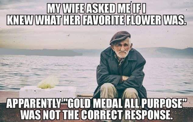 d1f0f17e696d01b8ac43ac48bd436463.jpg