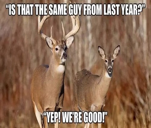 deer.jpg