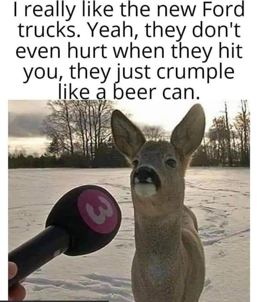 deer.jpg