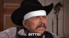 ditto-blazing saddles.gif