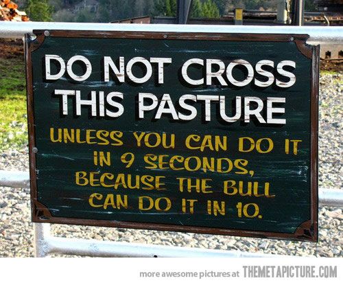 Do Not Cross This Pasture.jpg