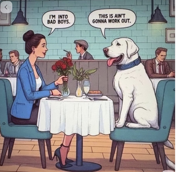dog 2  date.png