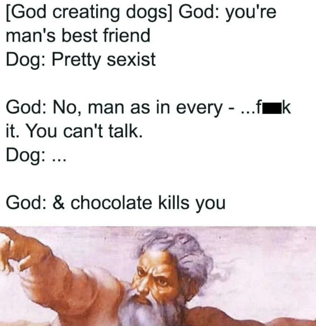 dog.jpg