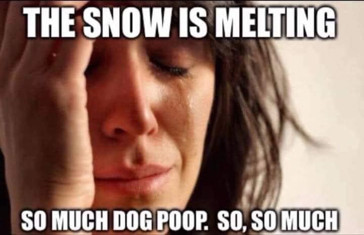 dog poop.jpg