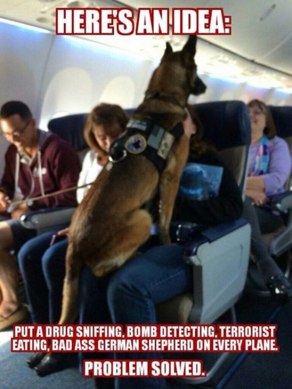 Dog_Memes-11_11_22-1-23-copy.png