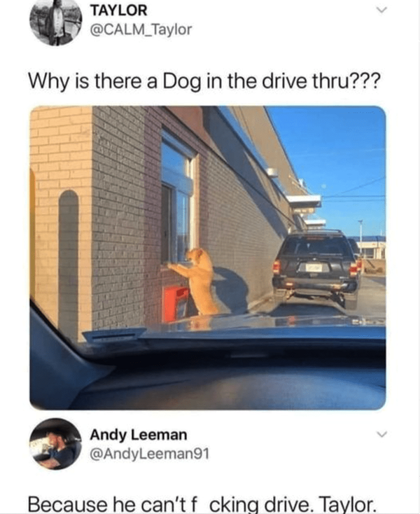 Doggo-Memes-Humor-26.png