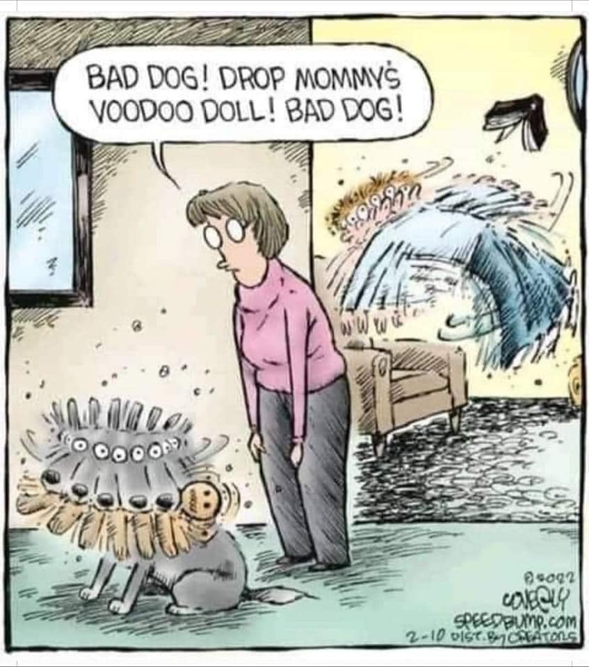 doll.jpg
