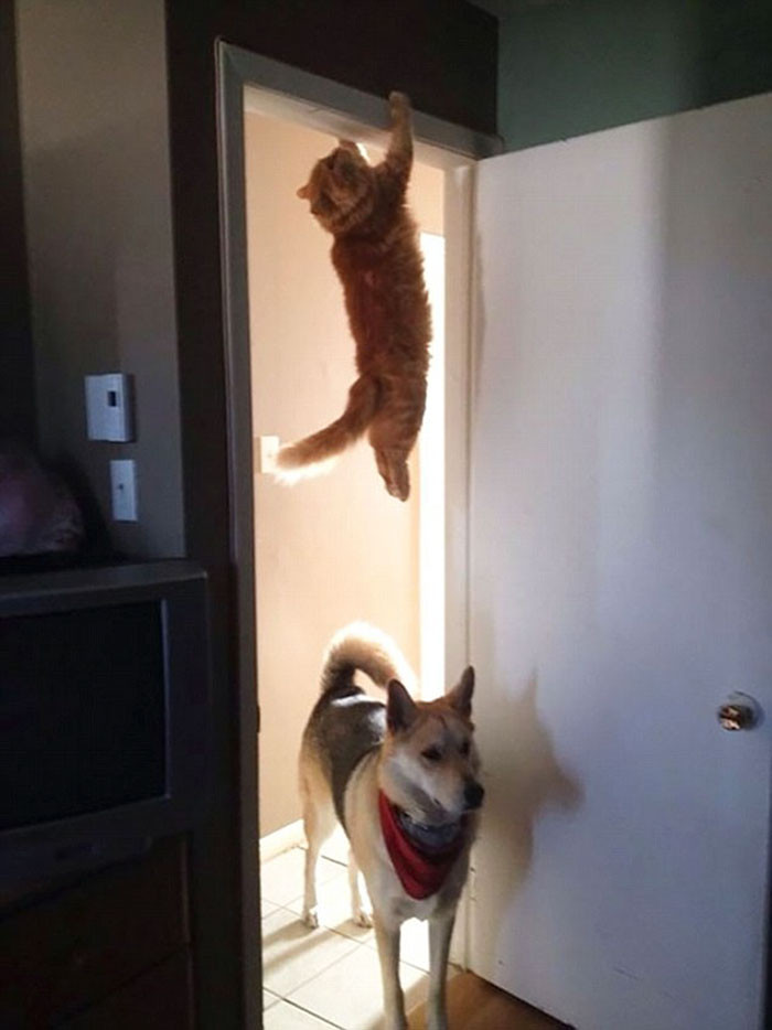 don't look up.jpg