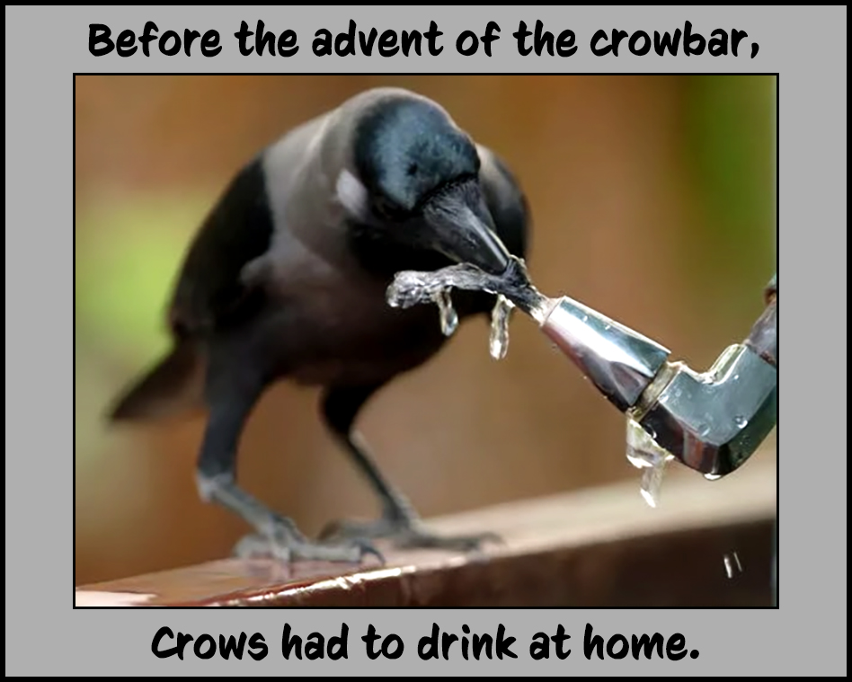 Drink at Home.jpg