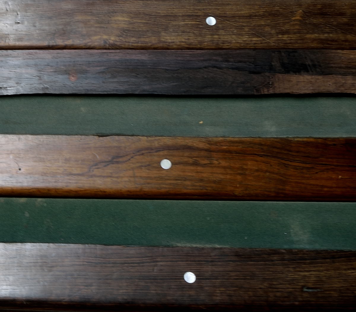 DSC_0229 - Copy - Copy - Copy.JPG