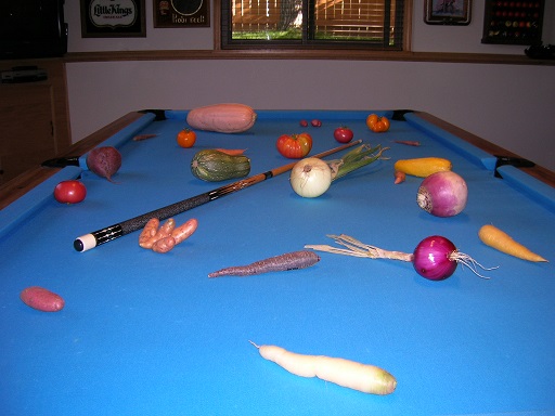 DSCN3888.jpg