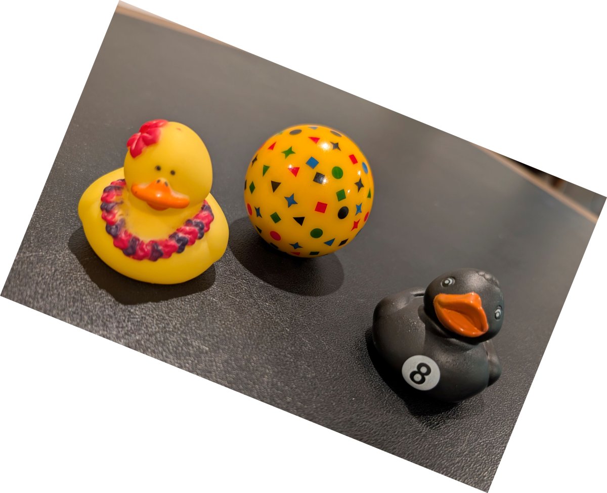 Duckies rotated.jpg
