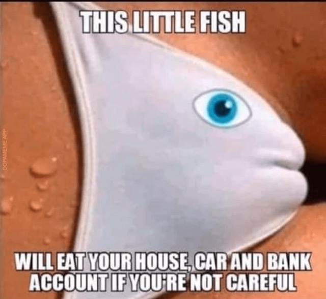 E8B54AD6-A6F9-4E47-B679-CEB7B6E93502.jpg