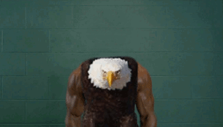 Eagle Arms.gif